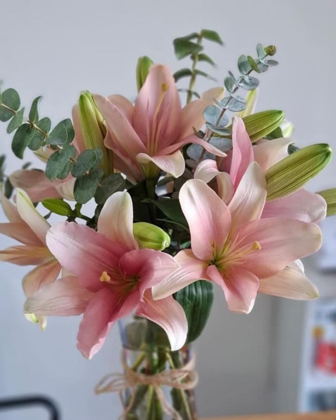 Blossom Lilies