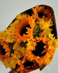 Ramo de Margaritas y Girasoles amarillos